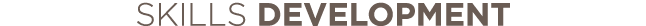 Skills Development