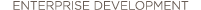 enterprise development