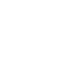 We want to create diverse talent pipelines across various disciplines to enable a thriving, diverse workforce    Mega   