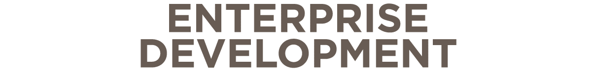 Enterprise Development 